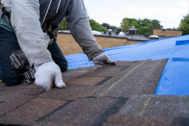 Best Roof Repair Services  in Fort Dix, NJ