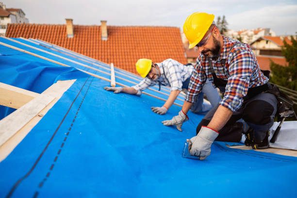 Best Roof Gutter Cleaning  in Fort Dix, NJ