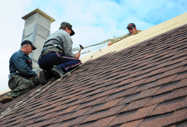 Best Storm Damage Roof Repair  in Fort Dix, NJ