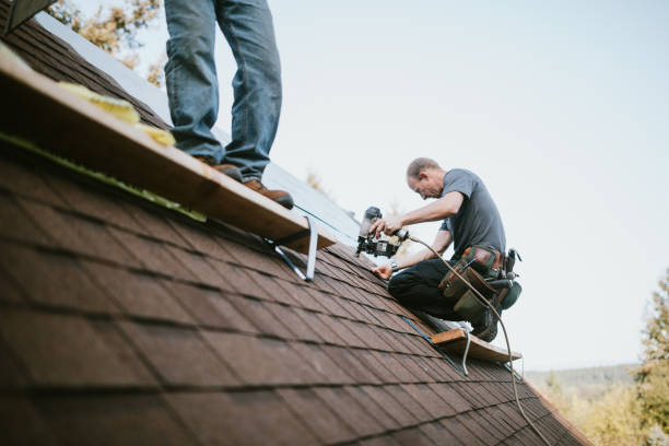 Best Gutter Installation and Roofing  in Fort Dix, NJ